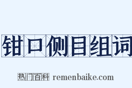 钳口侧目组词是什么意思的图片